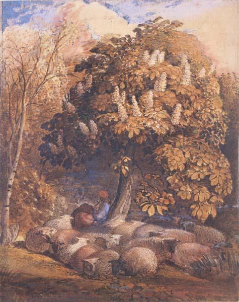 Samuel Palmer Pastoral with a Horse Chestnut Tree France oil painting art
